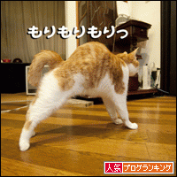 人気ブログランキングへ